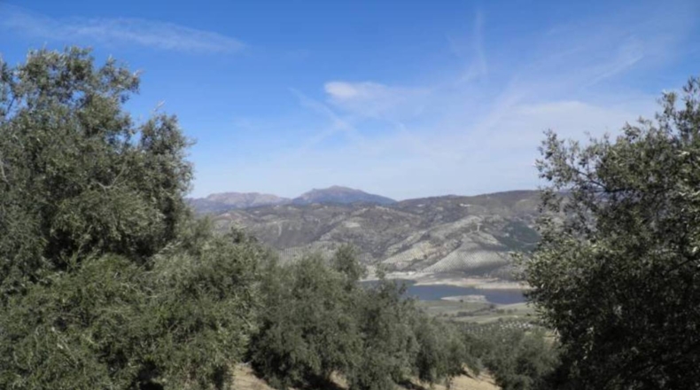 Granada - Ventorros de Balerma - 56370m2