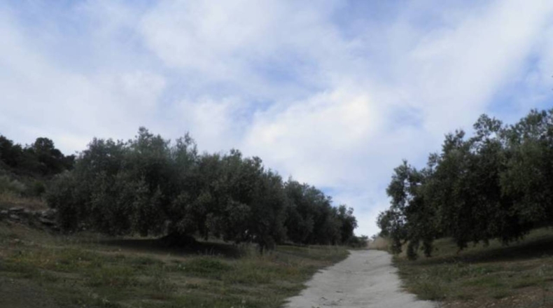 Granada - Zagra - 30608m2