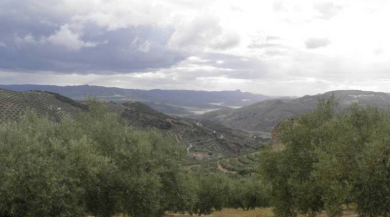 Granada - Zagra - 30608m2