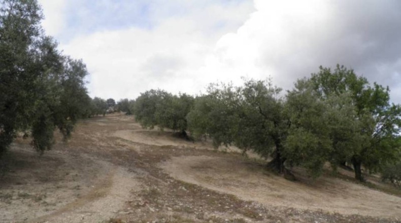 Granada - Zagra - 30608m2