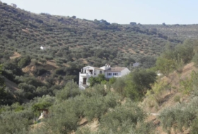 Algarinejo 5500&nbsp;м²