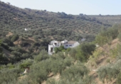Finca rústica en venda a Algarinejo ref.: TR64585 foto