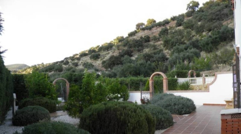 Málaga - Alfarnate - 21000m2