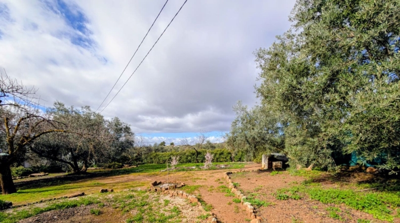 Granada - Loja - 1665m2