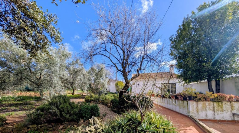Granada - Loja - 1665m2