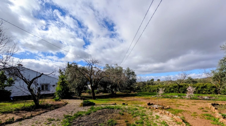 Granada - Loja - 1665m2