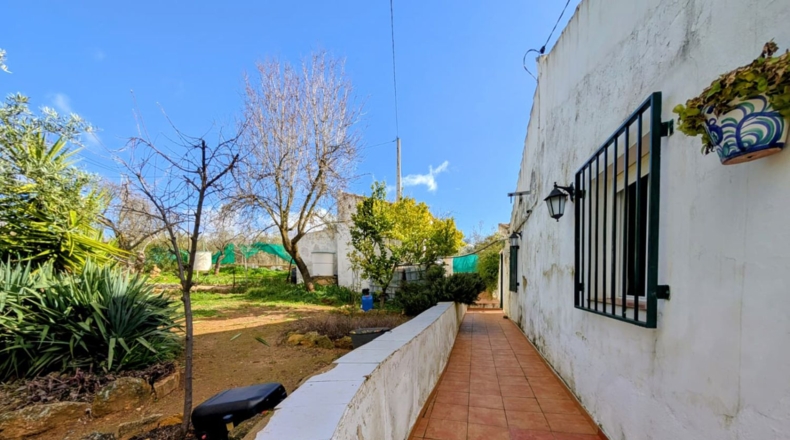Granada - Loja - 1665m2
