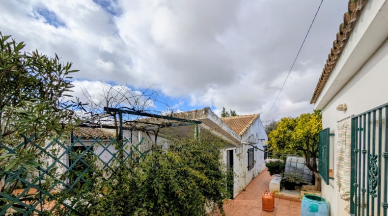 Granada - Loja - 1665m2
