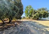 Masia amb terreny en venda a Loja ref.: TR64569 foto