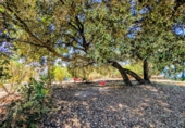 Masia amb terreny en venda a Loja ref.: TR64569 foto