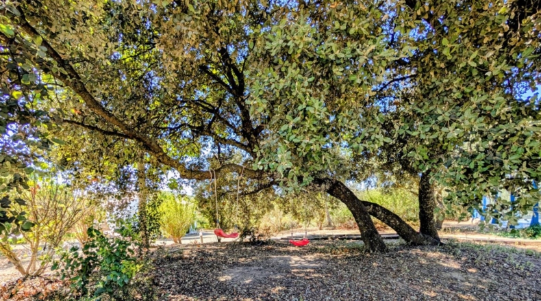 Granada - Ventorros de San José - 5394m2