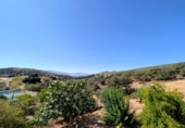Masia amb terreny en venda a Loja ref.: TR64569 foto