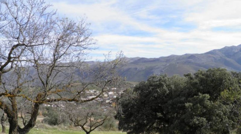 Granada - Fuente Camacho - 13081m2
