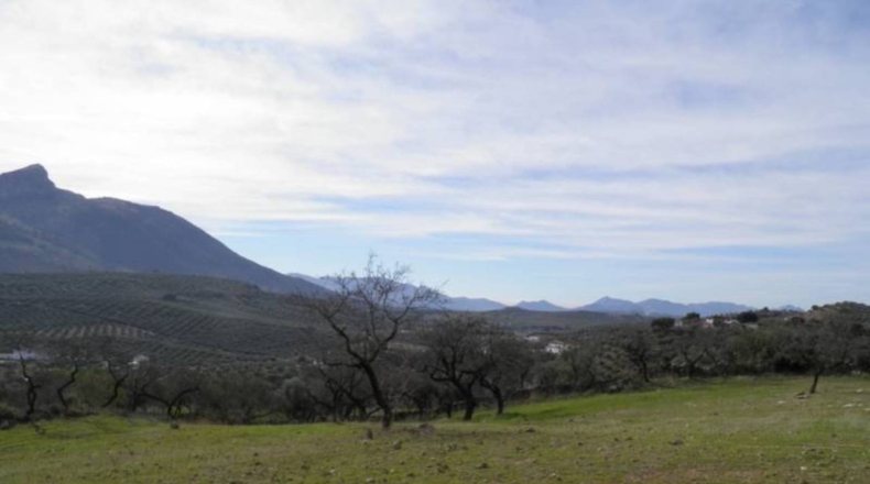 Granada - Fuente Camacho - 13081m2