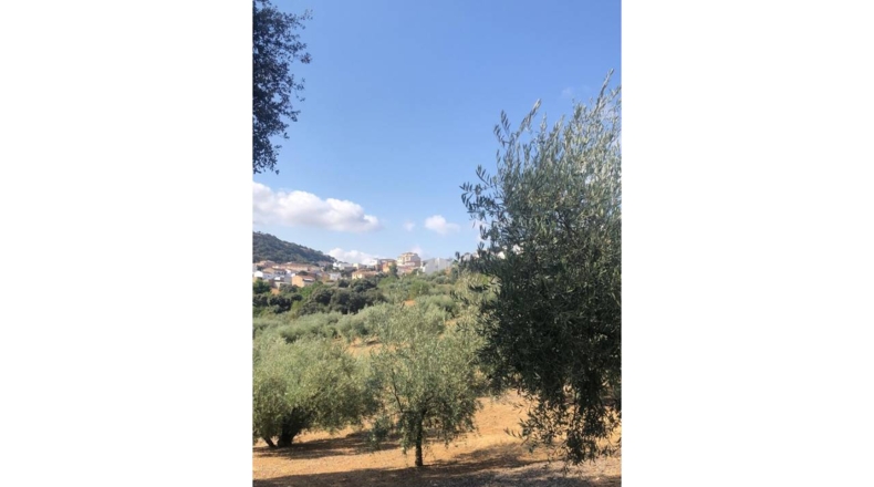 Granada - Algarinejo - 6300m2