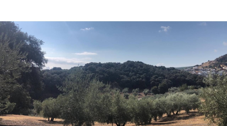 Granada - Algarinejo - 6300m2
