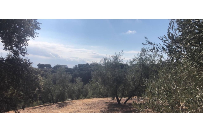 Granada - Algarinejo - 6300m2