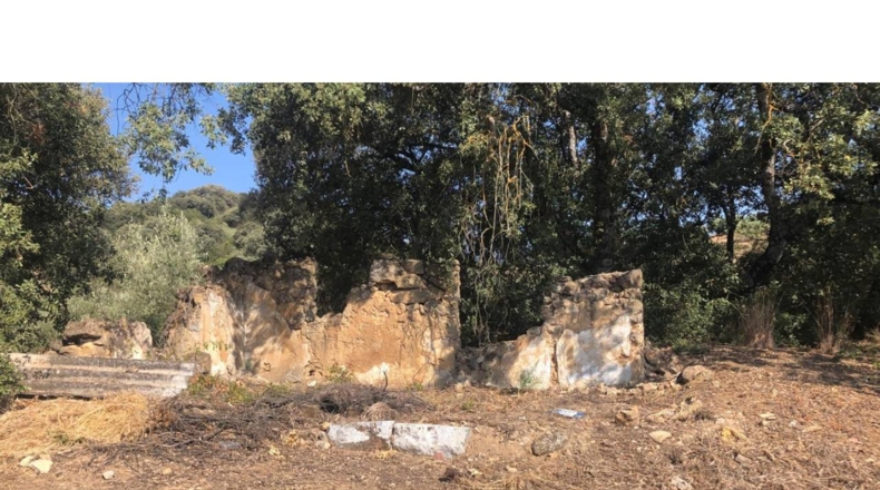 Granada - Algarinejo - 6300m2
