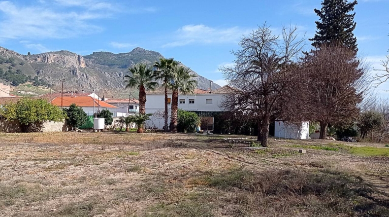 Granada - Loja - 4209m2