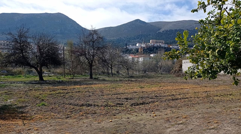 Granada - Loja - 4209m2