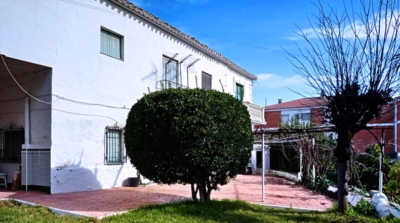Granada - Loja - 4209m2