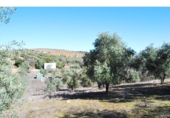 Terreno no urbanizable en venta en Loja ref: TR64760 foto