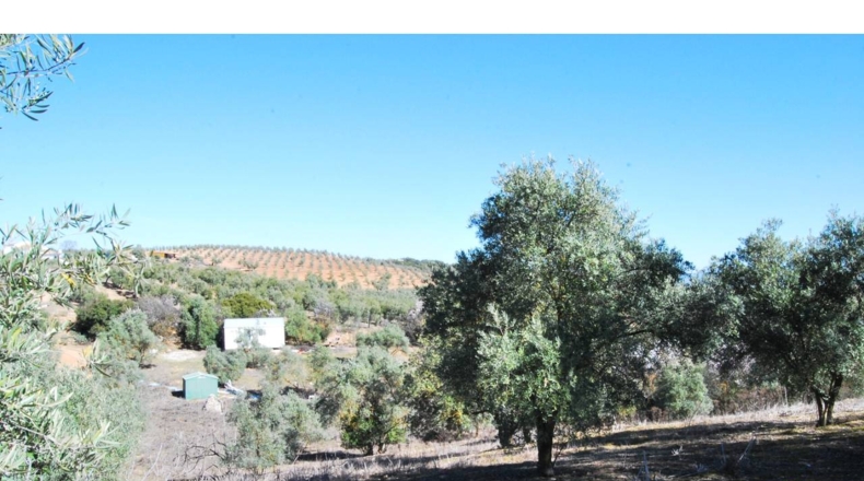 Granada - El Bujeo - 2800m2