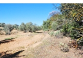 Terreno no urbanizable en venta en Loja ref: TR64760 foto