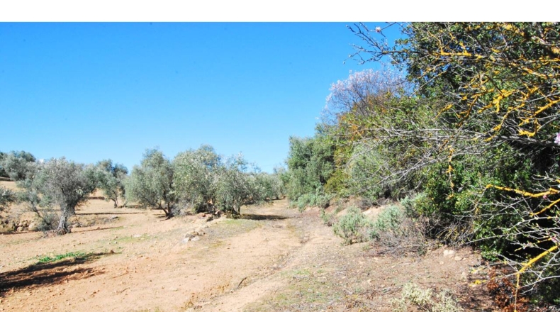 Granada - El Bujeo - 2800m2