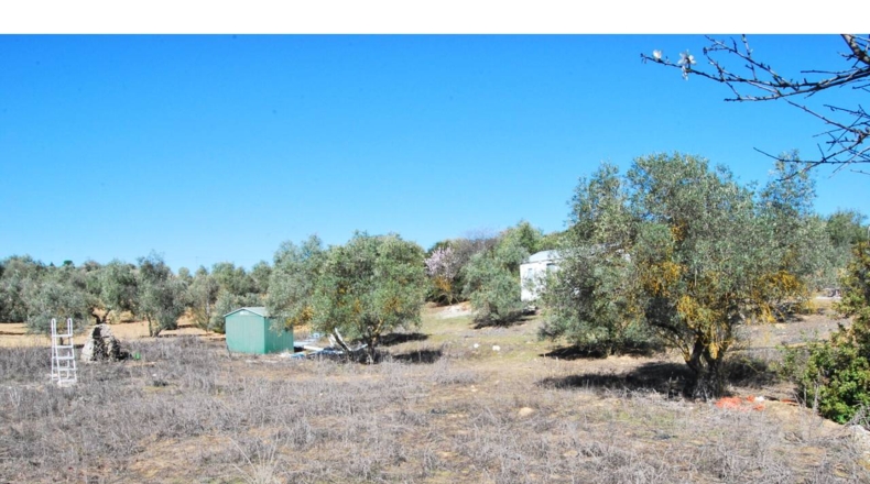 Granada - El Bujeo - 2800m2