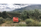 Urban land for sale in Loja ref: TR32765 photo