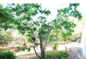 Casa de camp amb terreny en venda a Loja ref.: TR70393 foto