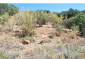 Urban land for sale in Loja ref: TR64691 photo