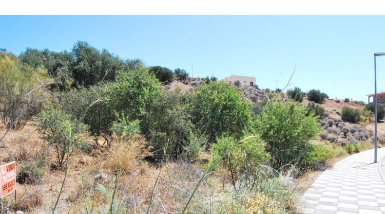Granada - Venta Santa Barbara - 502m2