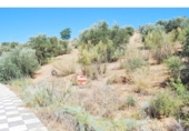Urban land for sale in Loja ref: TR64691 photo