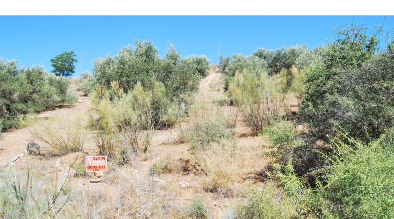 Granada - Venta Santa Barbara - 502m2