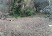 Rural estate for sale in Gabia Grande ref: TR64552 photo