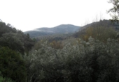 Rural estate for sale in Gabia Grande ref: TR64552 photo