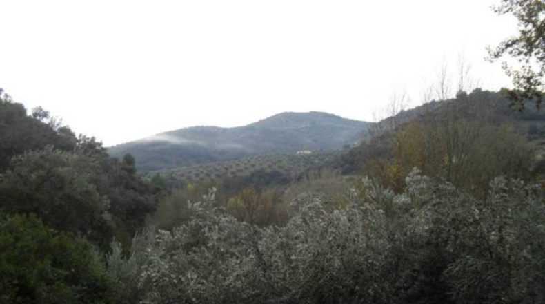 Granada - Huétor Tájar - 1252m2