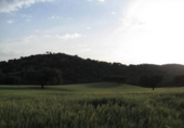 Finca rústica en venda a El Castillo de las Guardas ref.: TR64549 foto