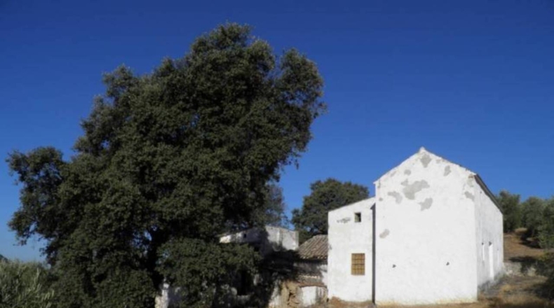Granada - Loja - 8000m2