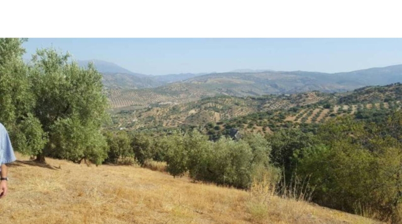 Granada - Ventorros de San José - 6500m2
