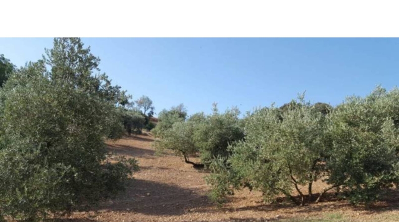 Granada - Ventorros de San José - 6500m2