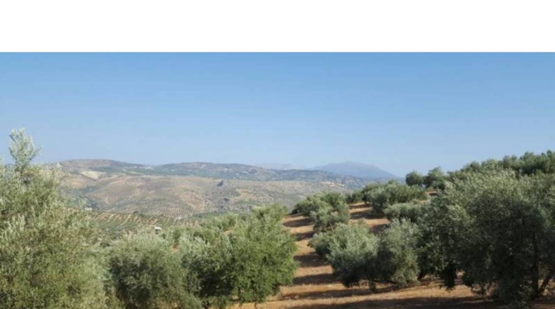 Granada - Ventorros de San José - 6500m2