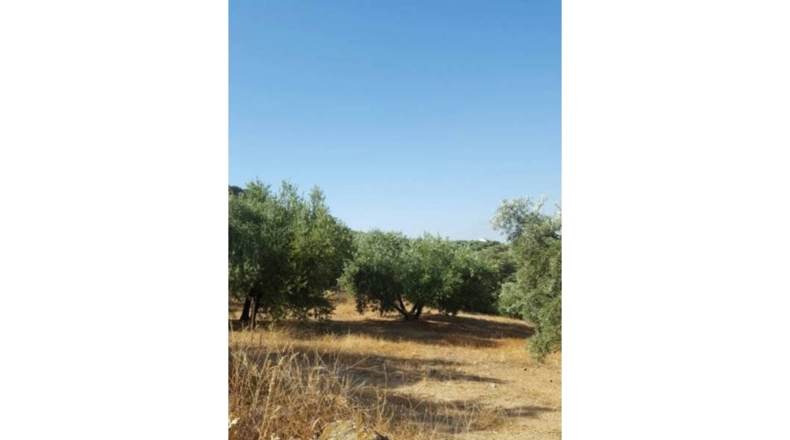 Granada - Ventorros de San José - 6500m2