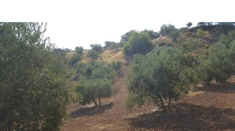 Granada - Ventorros de San José - 6500m2