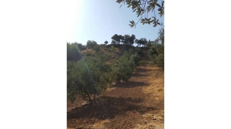 Granada - Ventorros de San José - 6500m2