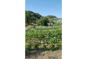 Foto 10