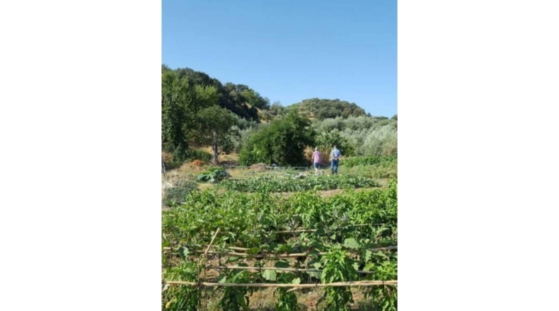 Granada - Ventorros de San José - 6500m2