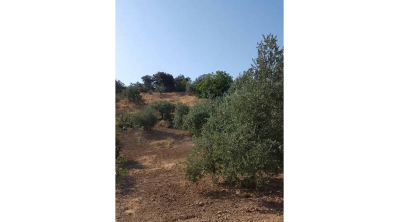 Granada - Ventorros de San José - 6500m2